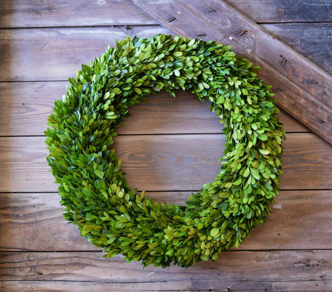 22” Round - Preserved Boxwood Country Manor Wreath (Copy)
