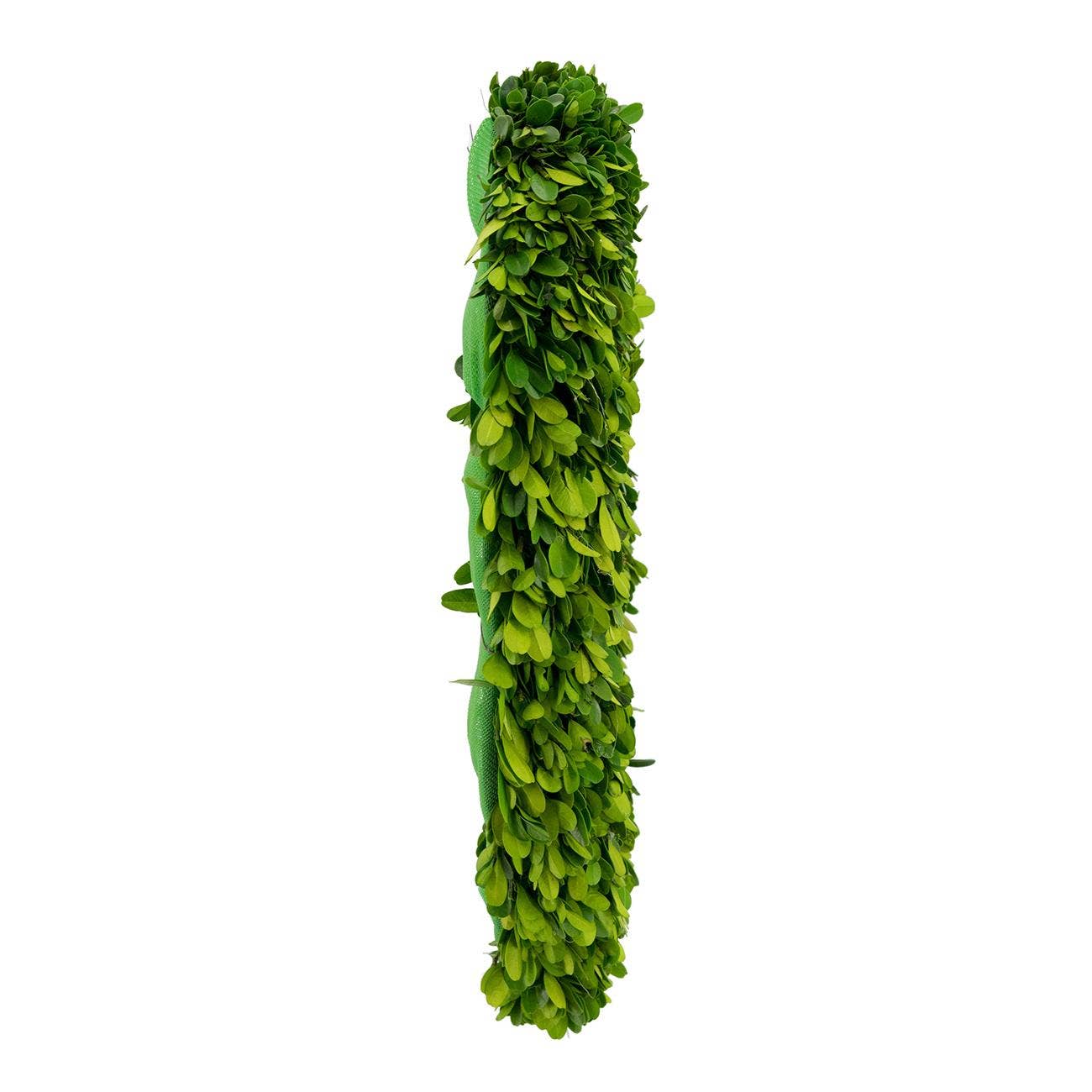 16" Heart - Preserved Boxwood Wreath - Green