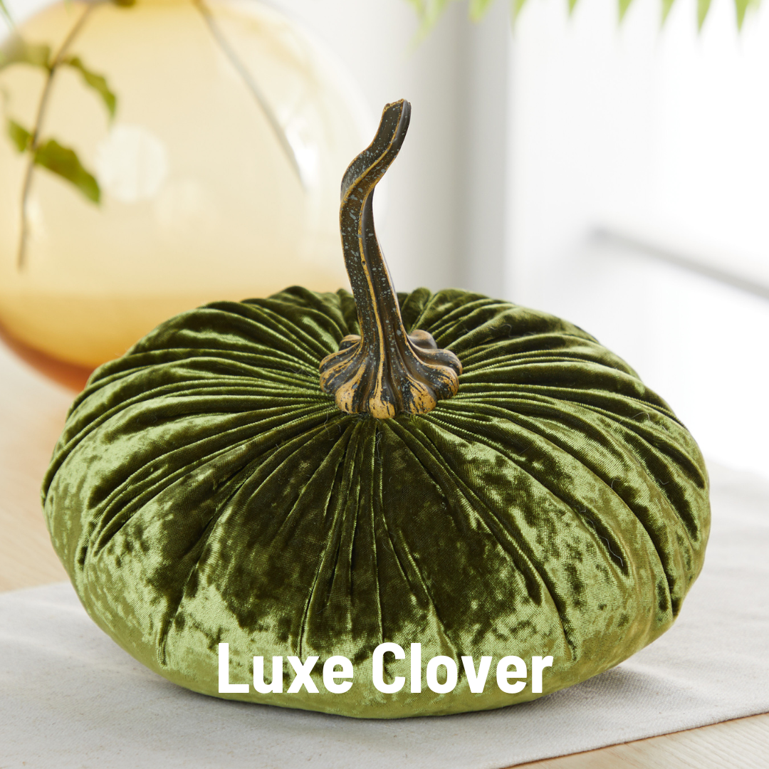 Pumpkin Extra Large Velvet, Fall Accent, Thoughtful Gift