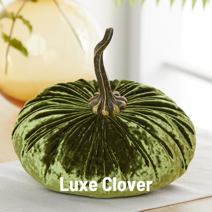 Pumpkin Extra Large Velvet, Fall Accent, Thoughtful Gift