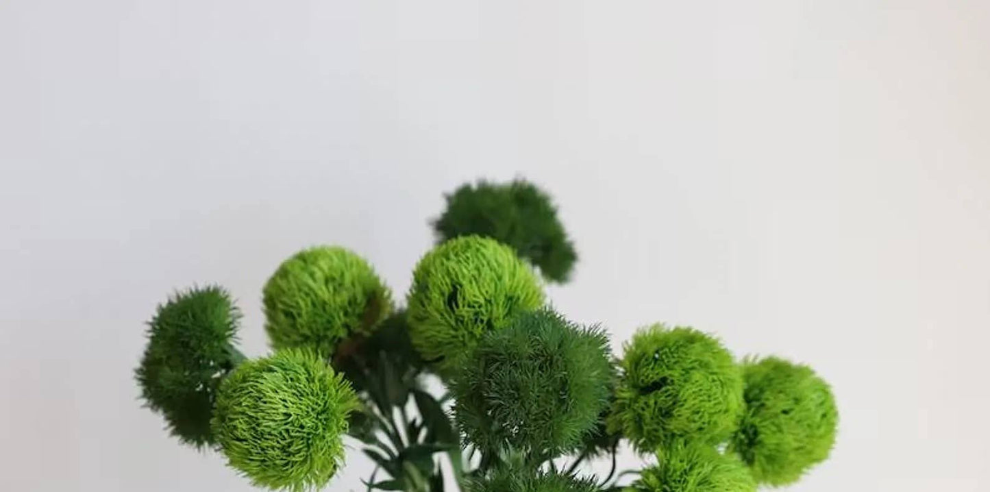 21.5" Realistic Faux Dianthus Green Ball Fresh Green stem