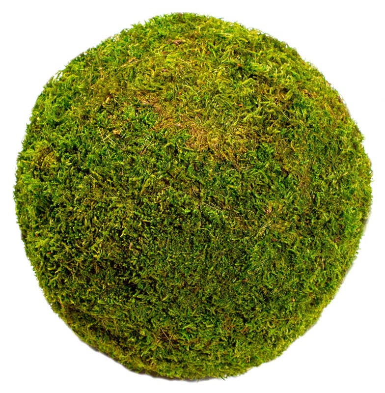 10" Moss Balls