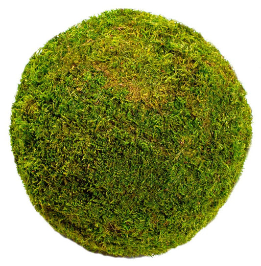 10" Moss Balls