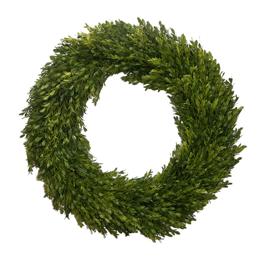 24” Round - Boxwood Wreath