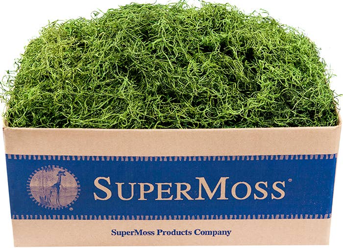 Preserved Spanish Moss 3lb Box