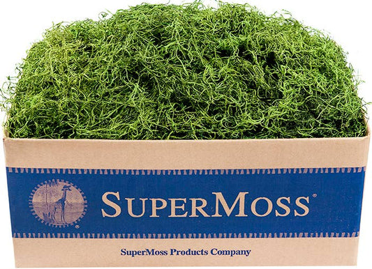 Preserved Spanish Moss 3lb Box