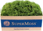 Preserved Spanish Moss 3lb Box