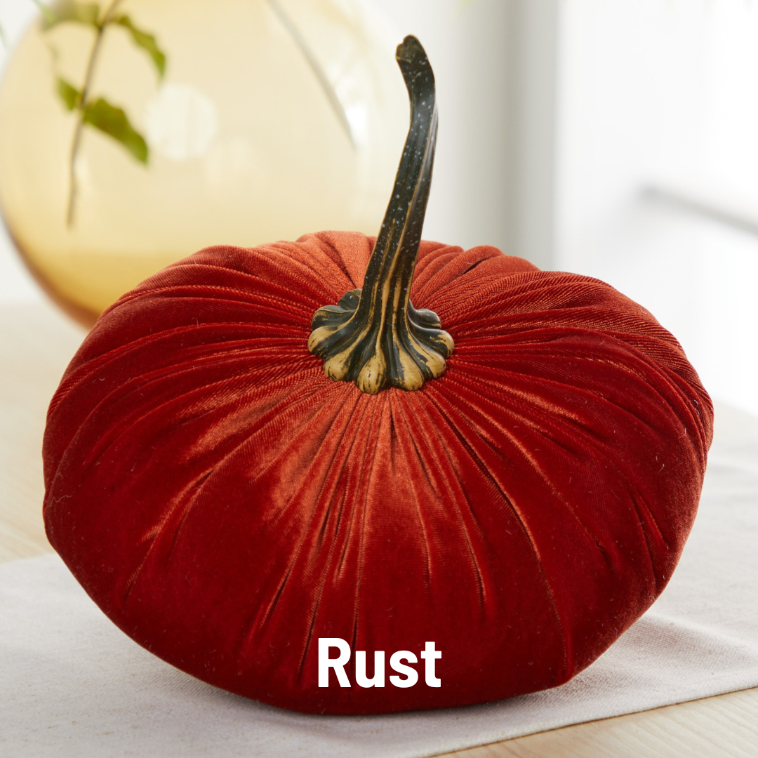 Pumpkin Extra Large Velvet, Fall Accent, Thoughtful Gift