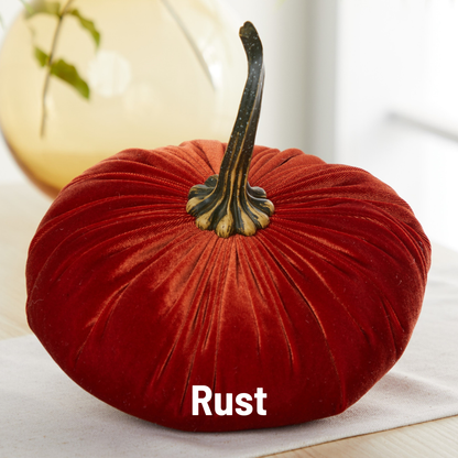 Pumpkin Extra Large Velvet, Fall Accent, Thoughtful Gift