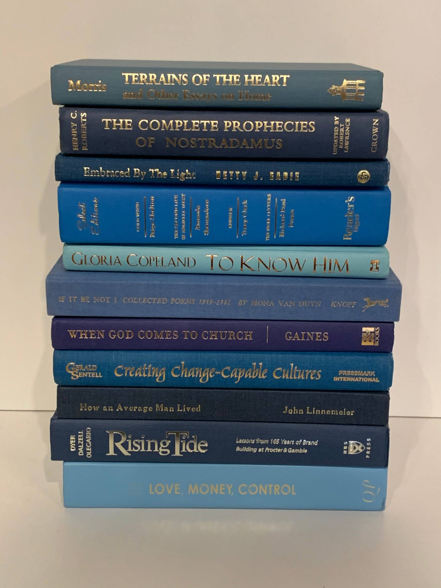 Blue books with gold  titles by the foot for decor
