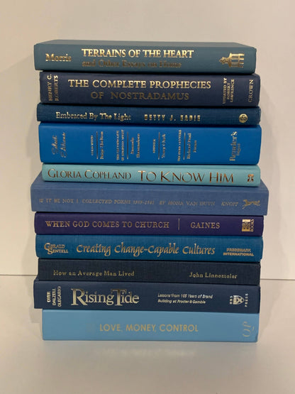 Blue books with gold  titles by the foot for decor