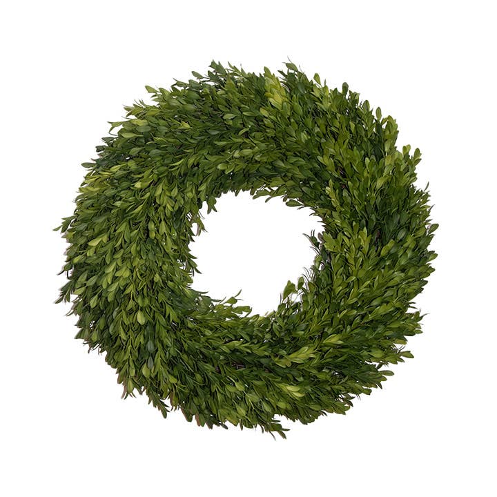 18” Round - Boxwood Wreath