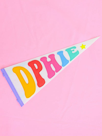 Rainbow Pennant Flag