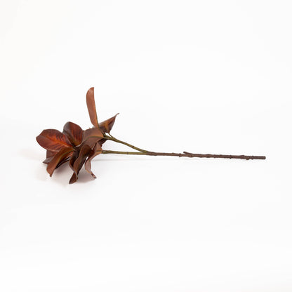 Magnolia Leaf Spray Bourbon 26 Inch