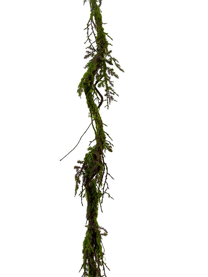 68" MOSS TWIG VINE