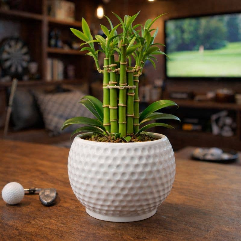 Golf Ball Planter Textured