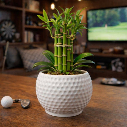 Golf Ball Planter Textured