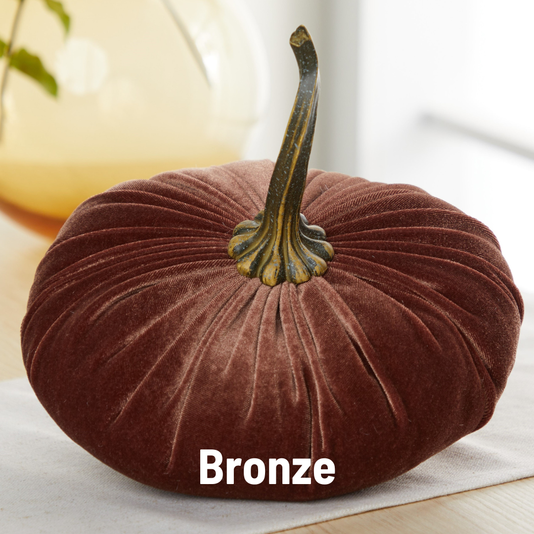 Pumpkin Extra Large Velvet, Fall Accent, Thoughtful Gift