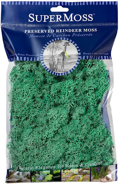 Reindeer Moss Preserved 2oz bags