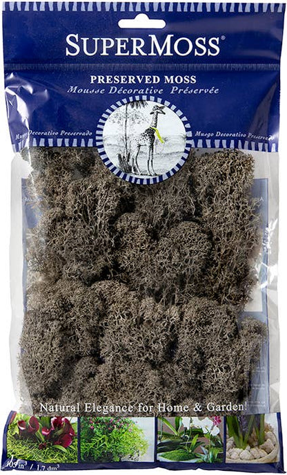 Reindeer Moss Preserved 2oz bags