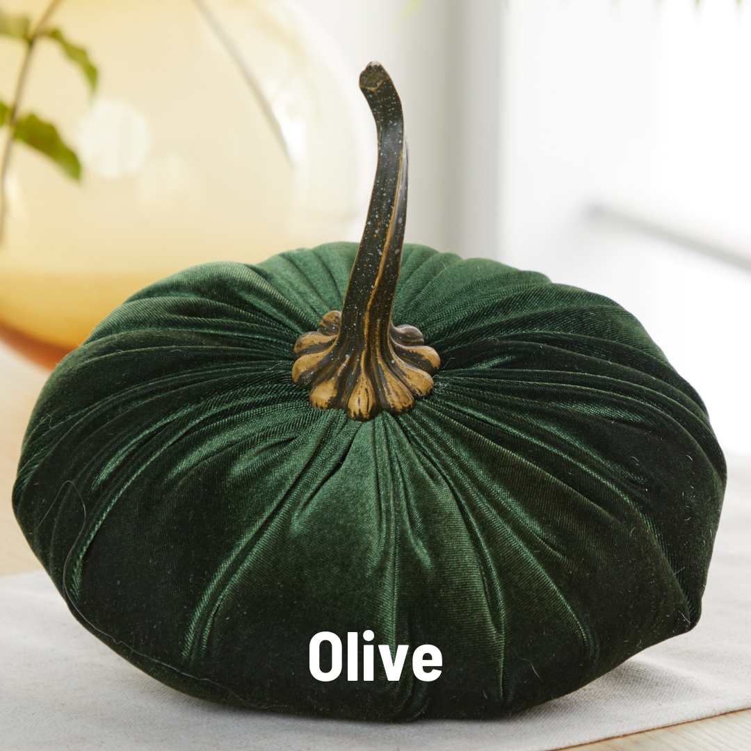 Pumpkin Extra Large Velvet, Fall Accent, Thoughtful Gift
