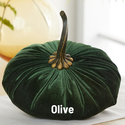 Pumpkin Extra Large Velvet, Fall Accent, Thoughtful Gift