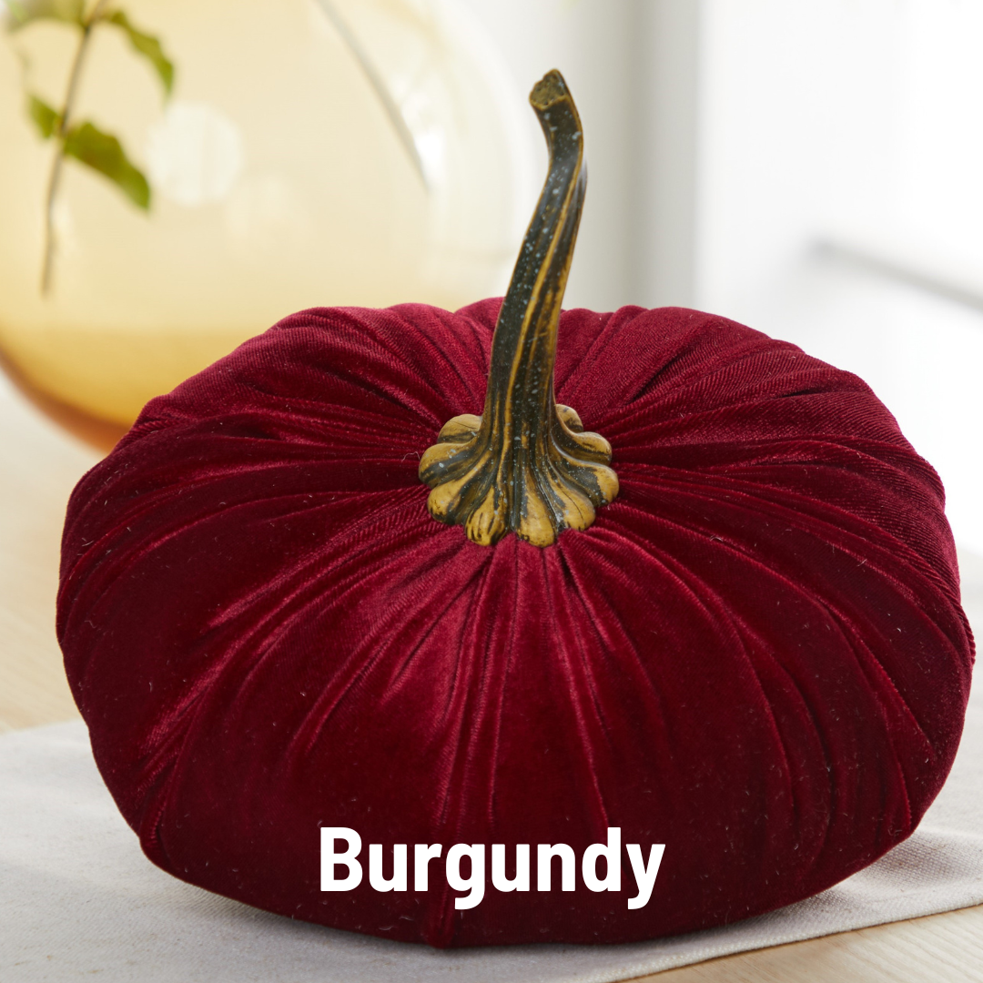 Pumpkin Extra Large Velvet, Fall Accent, Thoughtful Gift