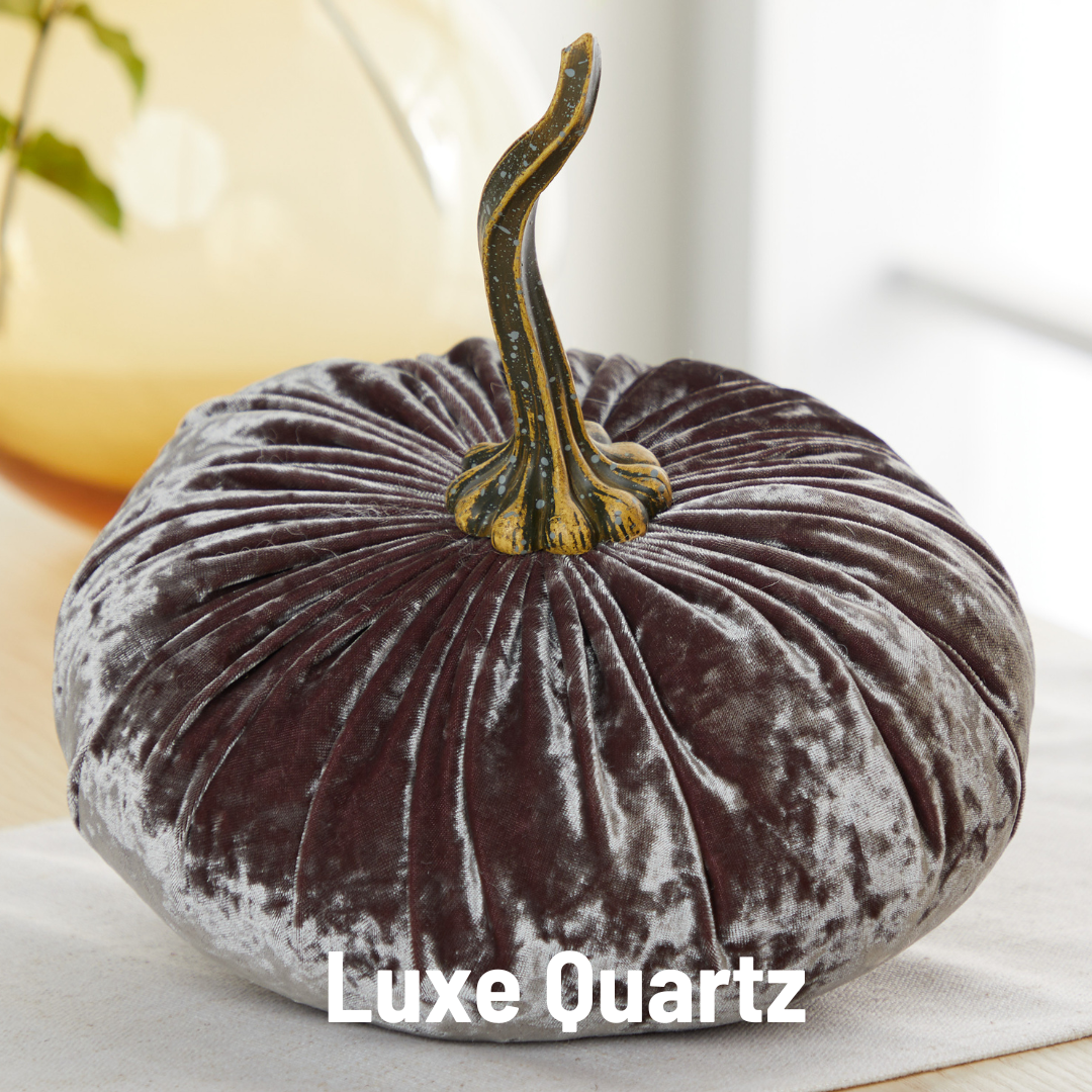 Pumpkin Extra Large Velvet, Fall Accent, Thoughtful Gift