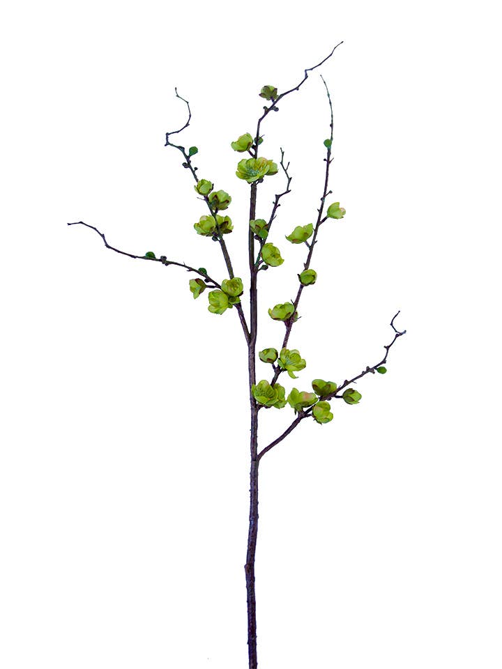 35" PLUM BLOSSOM SPRAY