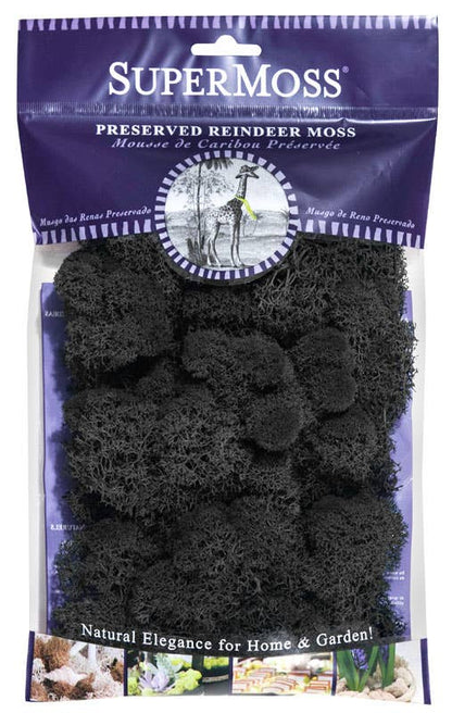 Reindeer Moss Preserved 2oz bags