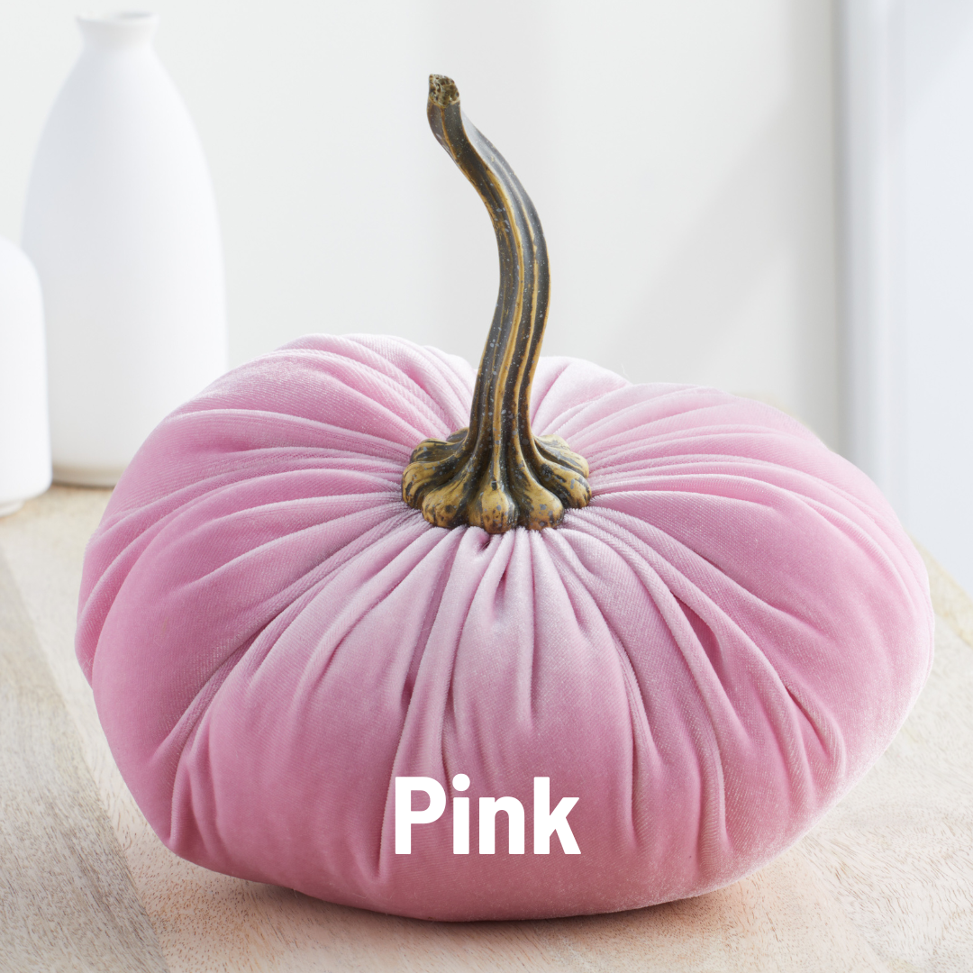 Pumpkin Extra Large Velvet, Fall Accent, Thoughtful Gift