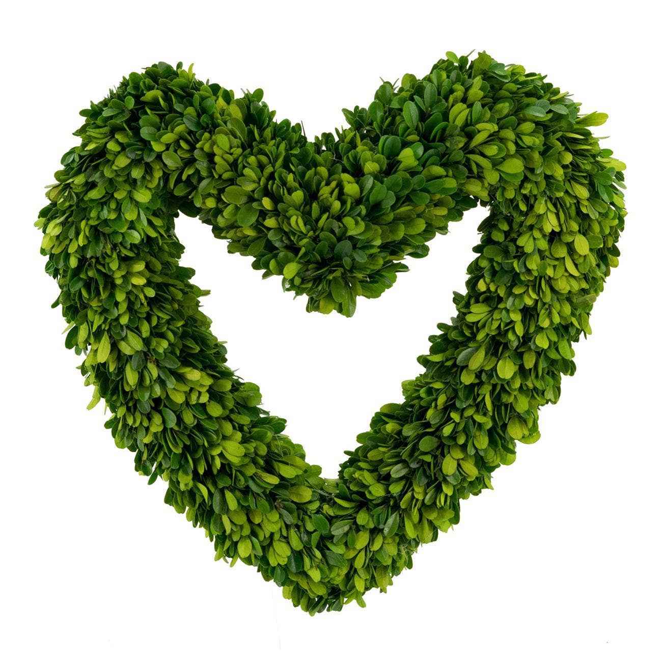 16" Heart - Preserved Boxwood Wreath - Green