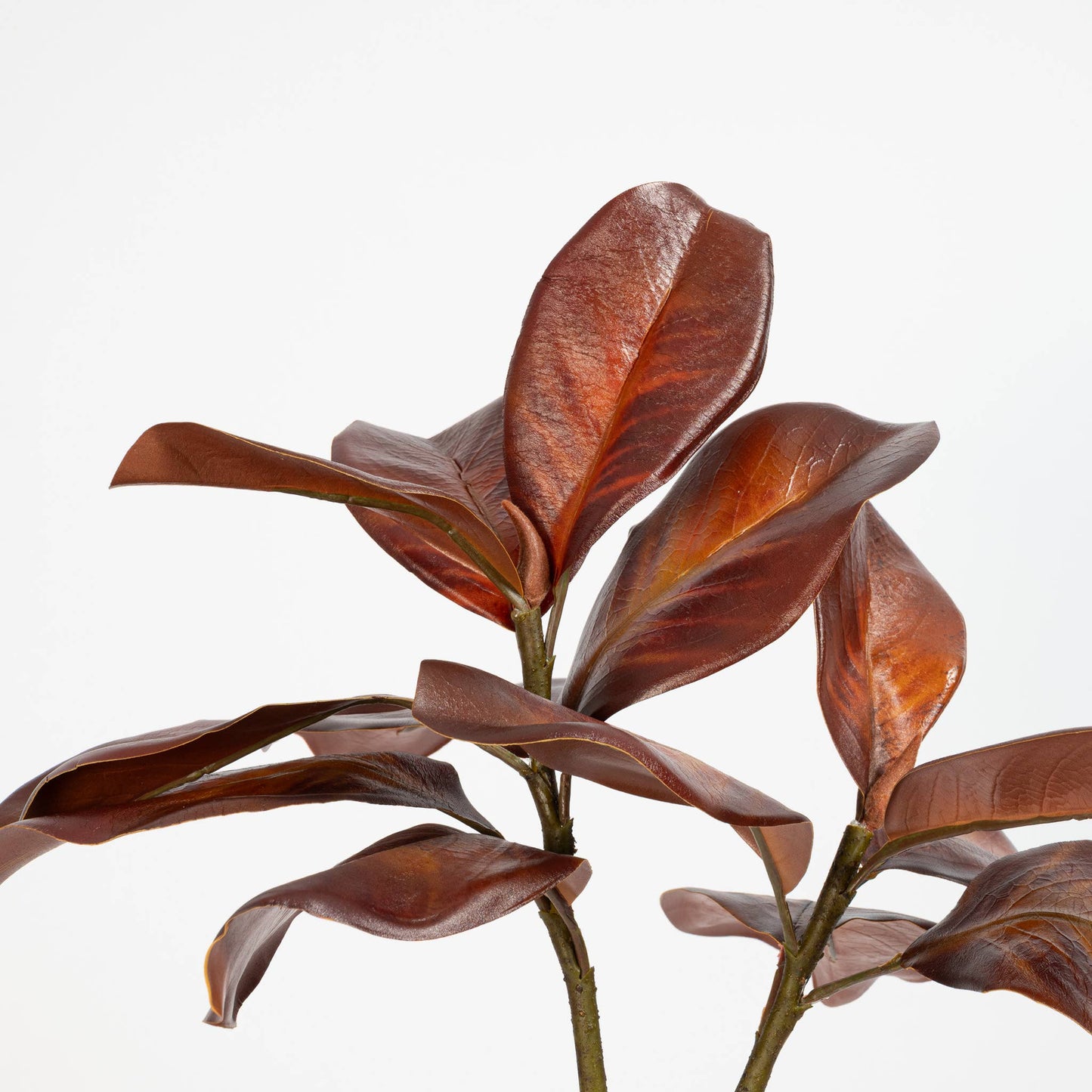 Magnolia Leaf Spray Bourbon 26 Inch
