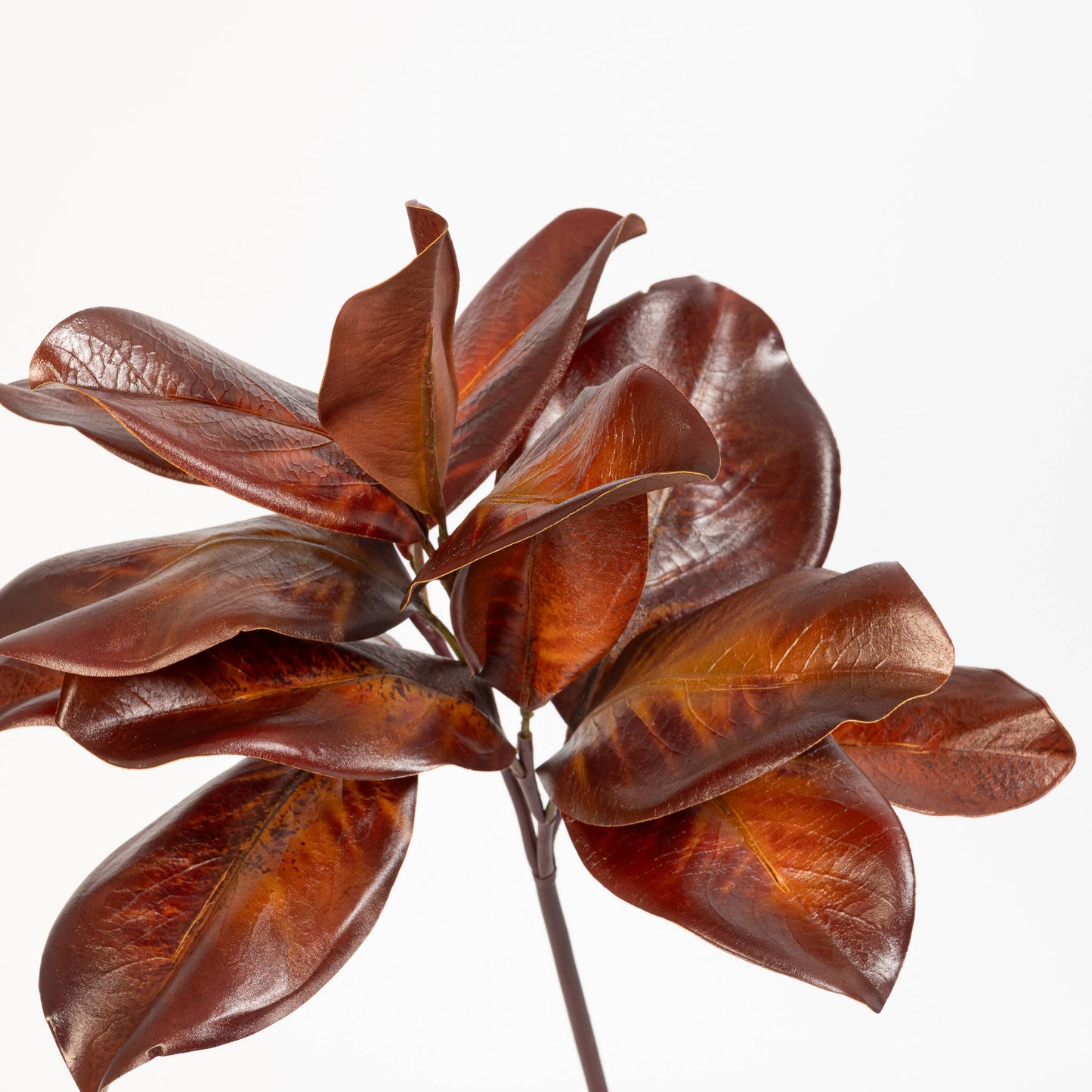 Magnolia Leaf Spray Bourbon 16 Inch