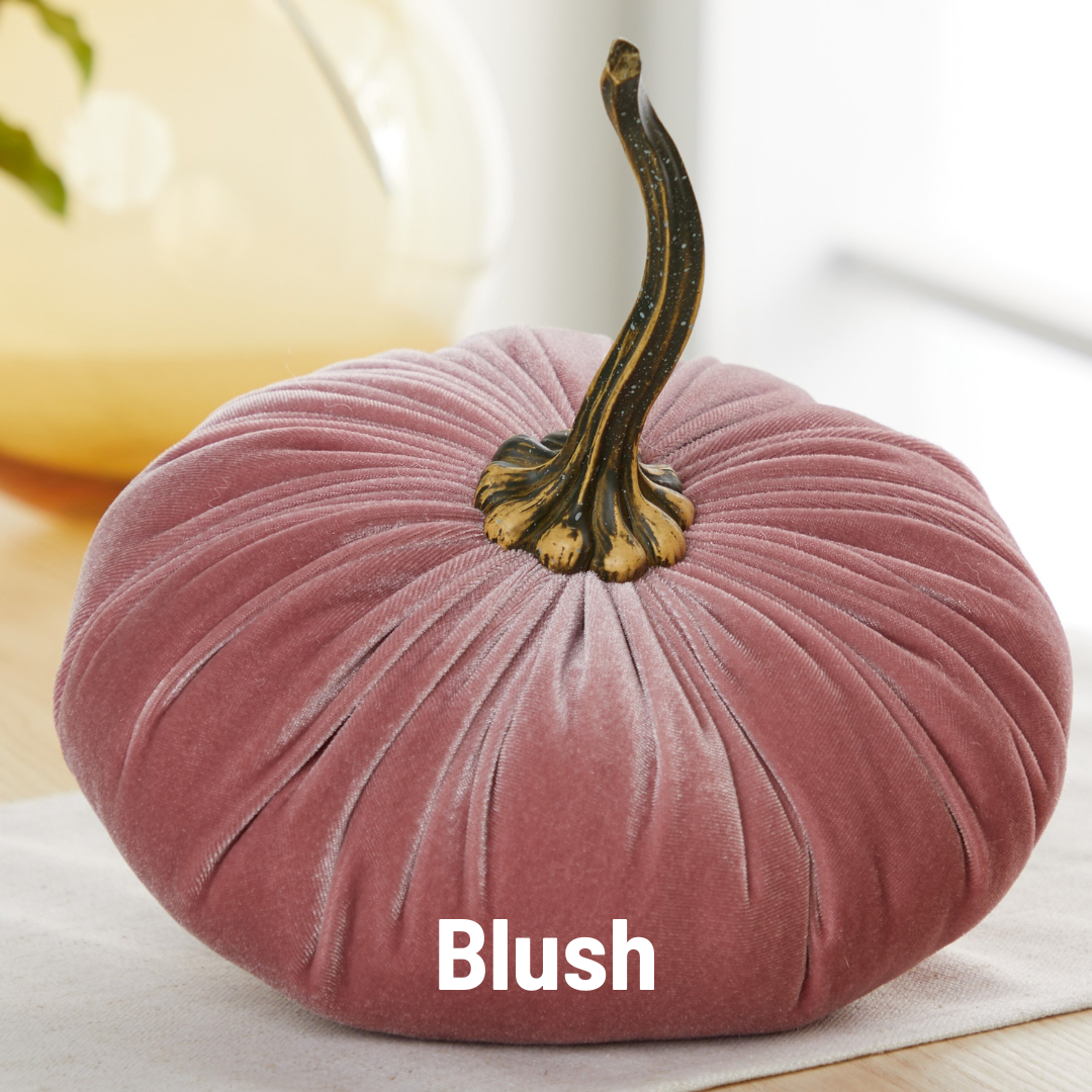Pumpkin Extra Large Velvet, Fall Accent, Thoughtful Gift