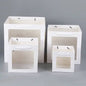 Cube Window Kraft Flower/Gift Bag