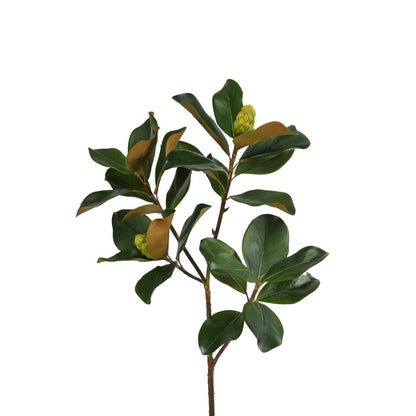 Magnolia Leaf Branch - 44 Inch