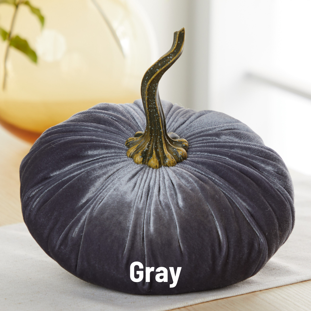 Pumpkin Extra Large Velvet, Fall Accent, Thoughtful Gift