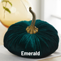 Pumpkin Extra Large Velvet, Fall Accent, Thoughtful Gift