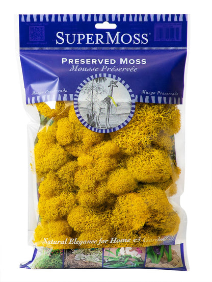 Reindeer Moss Preserved 2oz bags