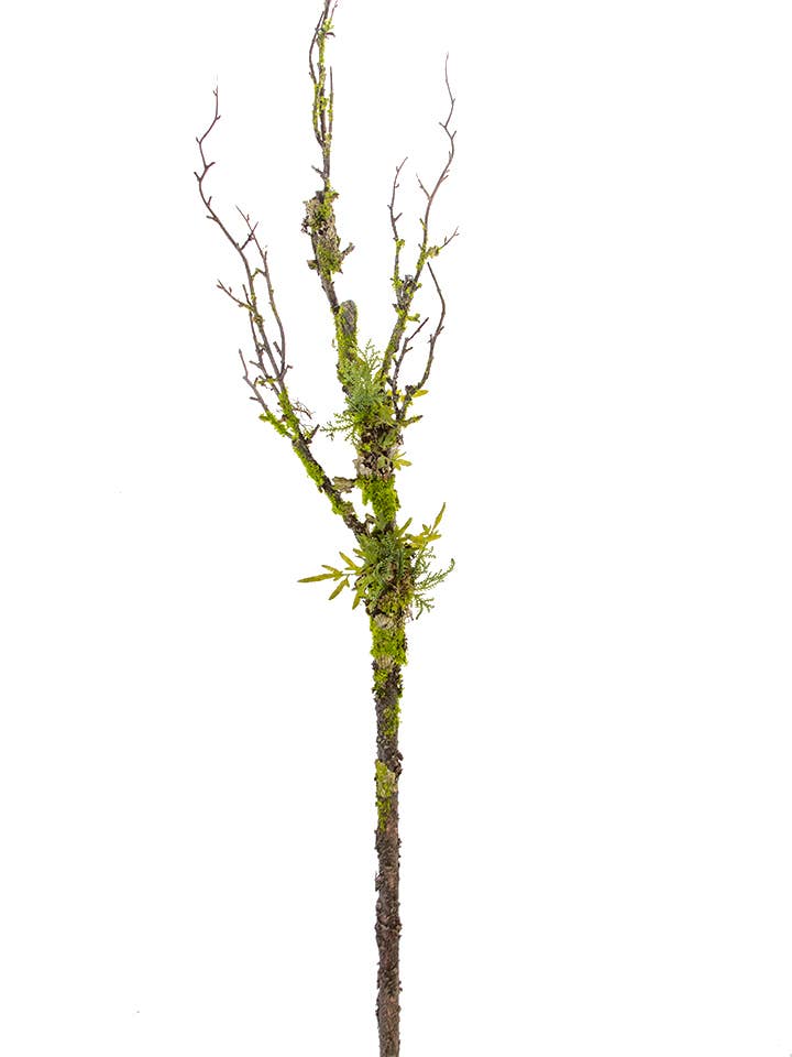 54" TWIG BRANCH WITH MOSS