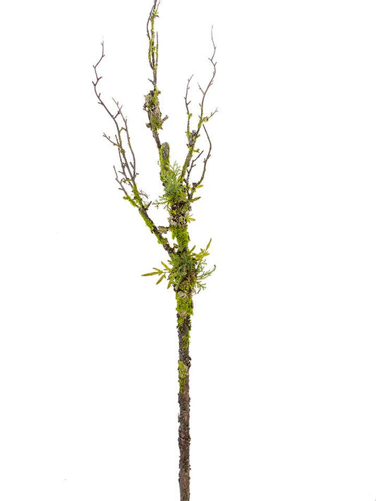 54" TWIG BRANCH WITH MOSS