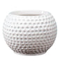 Golf Ball Planter Textured