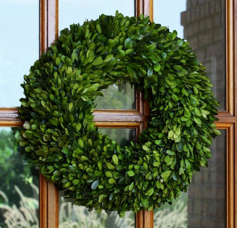 16” Round - Preserved Boxwood Wreath