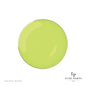 Lime Green and Gold Round Plastic Plates | 10 Pack