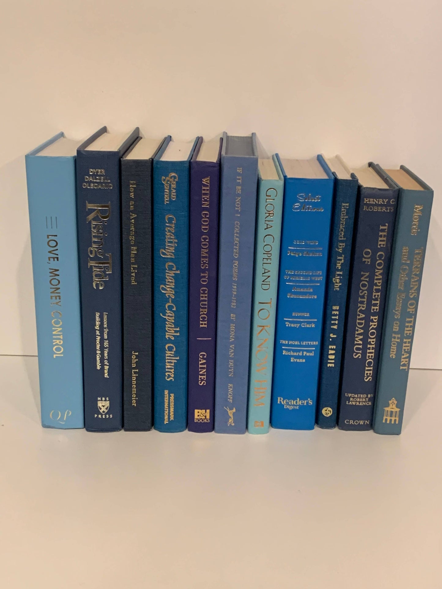 Blue books with gold  titles by the foot for decor