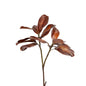 Magnolia Leaf Spray Bourbon 26 Inch