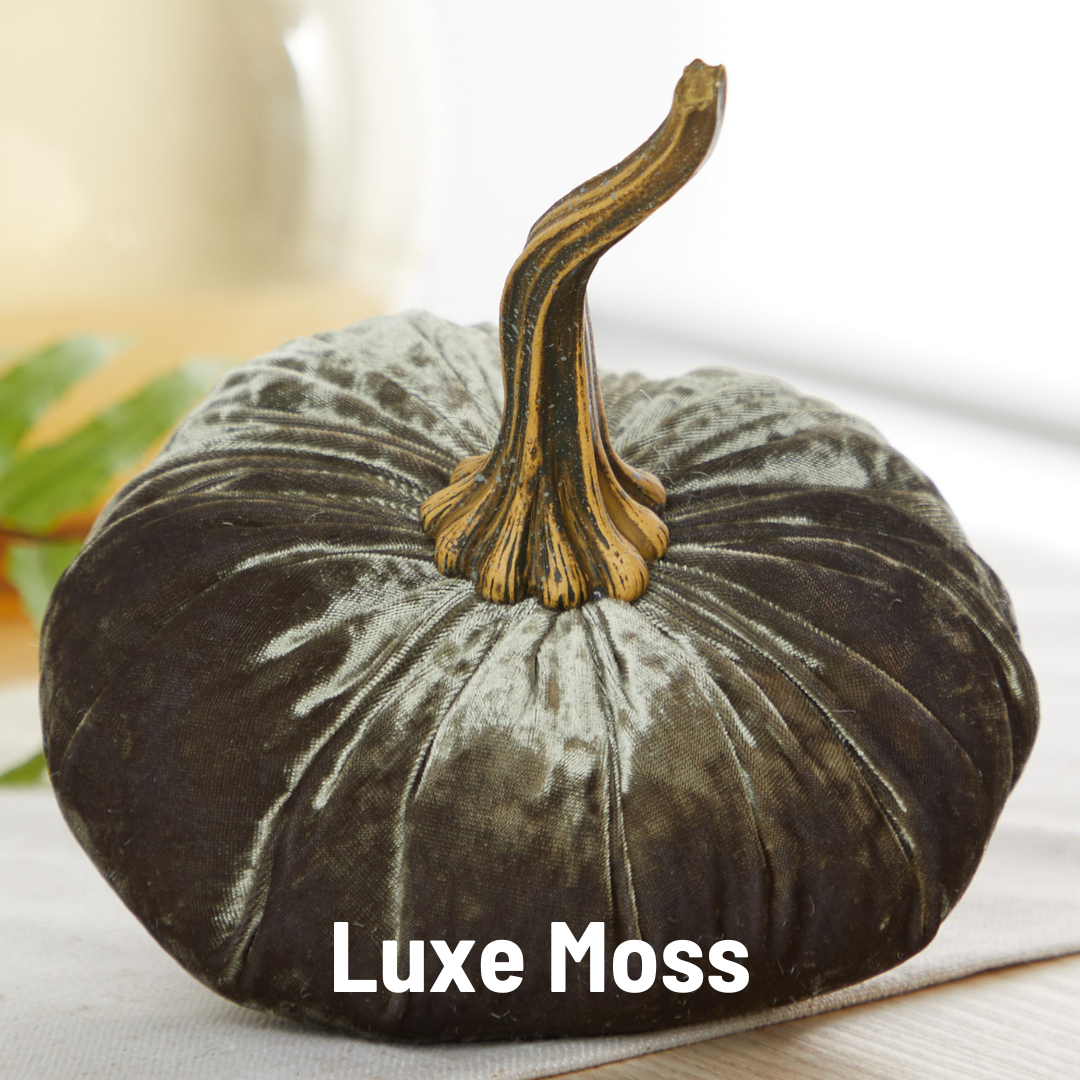 Pumpkin Large Velvet, Fall Mantel Decor, Halloween Table