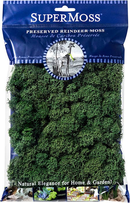 Reindeer Moss Preserved 2oz bags