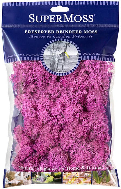Reindeer Moss Preserved 2oz bags